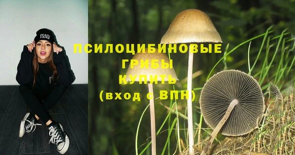 jwh Горняк