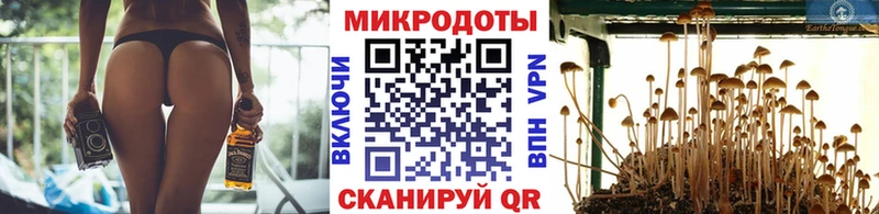 купить   darknet Telegram  Галлюциногенные грибы прущие грибы  Плавск 